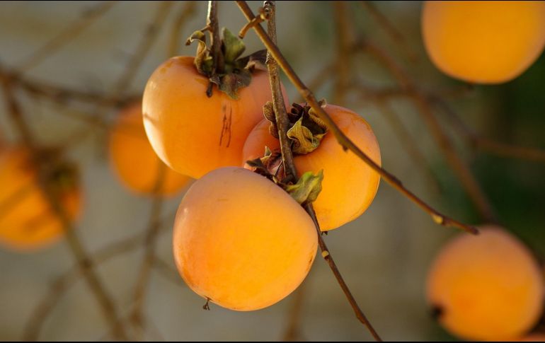 Conoce esta fruta de origen asiático con propiedades muy importantes para el cuerpo humano. UNSPLASH.