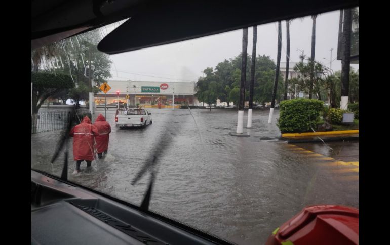 Solo para su publicacion en los medios establecidos por El Informador