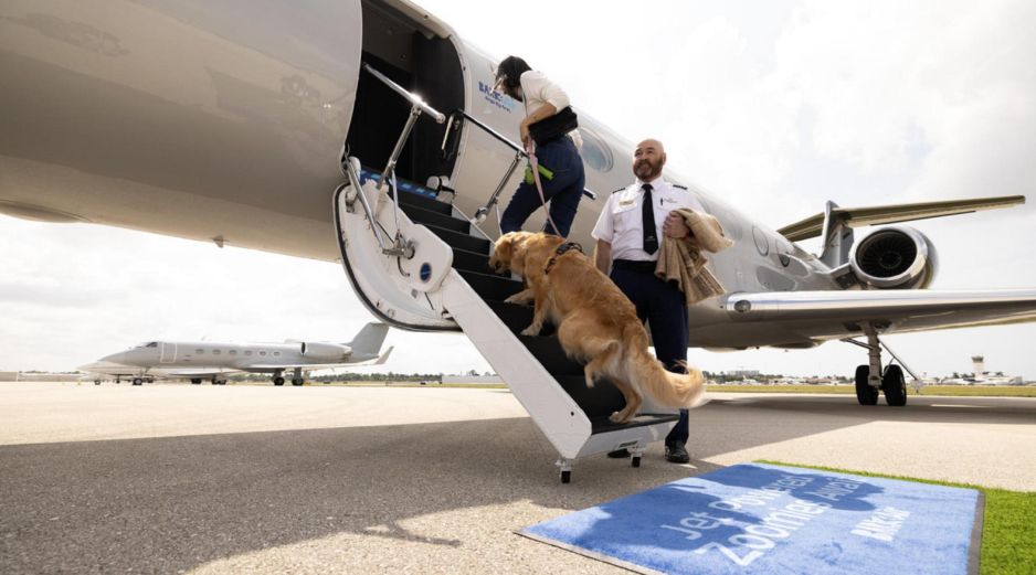 Conscientes del estrés que los viajes en avión generan entre los dueños de las mascotas, Bark Air fue creada en 2011, pero no hizo su primer vuelo hasta el pasado mayo. EFE / ARCHIVO