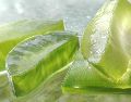 Algunos estudios sugieren que el Aloe vera puede tener un efecto positivo en la regulación de los niveles de azúcar en la sangre. Pixabay