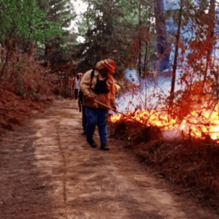 Controlan incendio forestal en Manzanilla de la Paz
