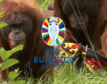 El orangután Walter se suma a la lista de animales que han predicho resultados en el futbol en donde encuentran el pulpo ‘Paul’ y el elefante Yashoda. YOUTUBE/ AS Diario/ ESPECIAL