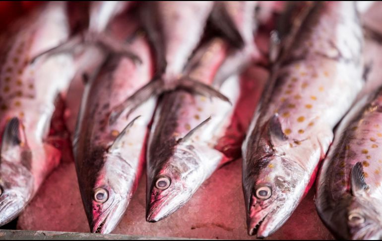 Los pescados de pequeño tamaño son destacados por su impacto positivo en la salud. EL INFORMADOR / ARCHIVO
