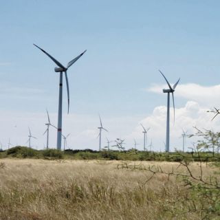 Población quiere transición rápida a energías limpias