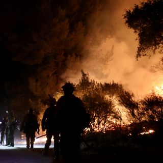 Incendios forestales: Se han duplicado en los últimos 20 años