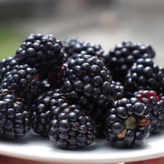 La fruta que aporta salud a las encías y elasticidad a la piel
