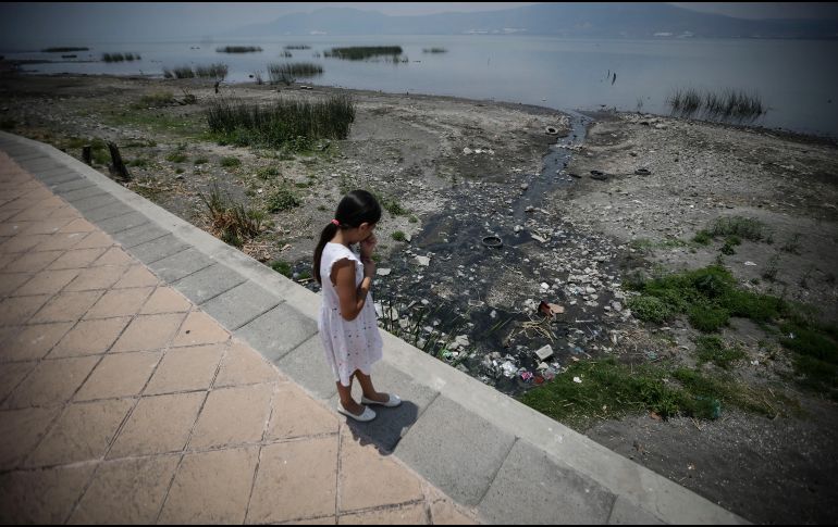 Estos son los proyectos que podrían ayudar a mejorar el futuro del Lago de Chapala. EL INFORMADOR / ARCHIVO