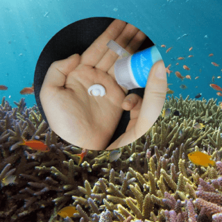 Si tu protector solar tiene estos ingredientes estás afectando a los corales