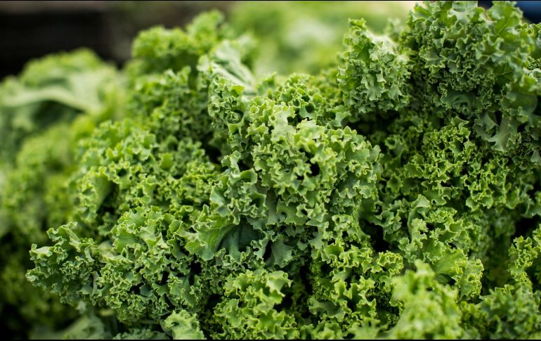 El kale es una excelente fuente de vitaminas C y K, ácido fólico, betacaroteno y luteína. ESPECIAL / Foto de Char Beck en Unsplash