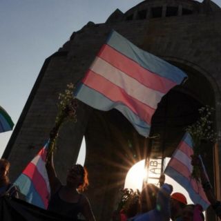 AI hace llamado a garantizar derechos de personas transgénero en México