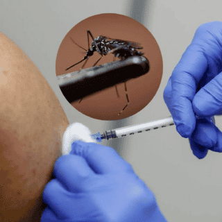 La primera vacuna en el mundo contra chikungunya podrá suministrarse en Europa