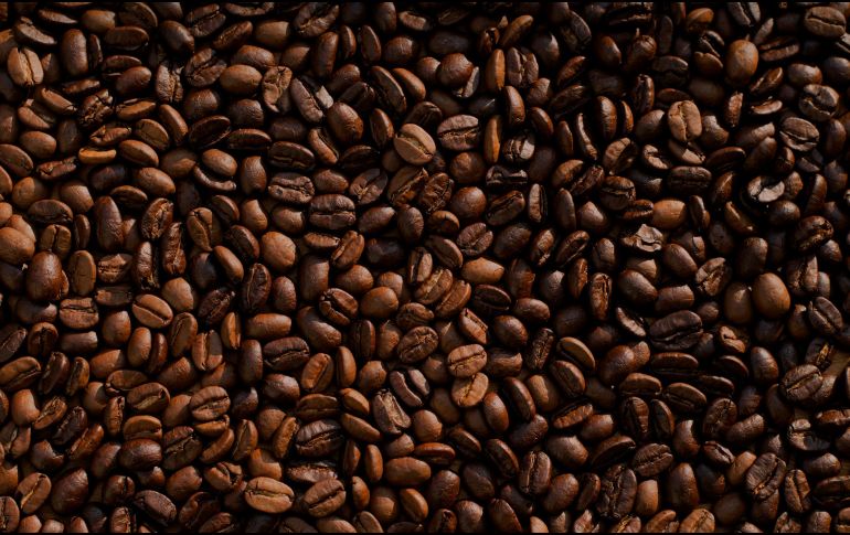 El café se obtiene de una semilla de arbusto que se le conoce como Cafeto. ESPECIAL / UNSPLASH / M. Kenneally