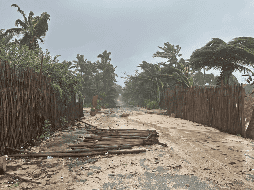 Fotografía que muestra una calle obstruida debido a los daños ocasionados durante la entrada del huracán 