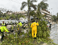Policías y miembros de Protección Civil levantan árboles caídos tras el paso del huracán "Berly", este viernes, en el municipio de Tulum, en Quintana Roo. EFE / A. Cupul