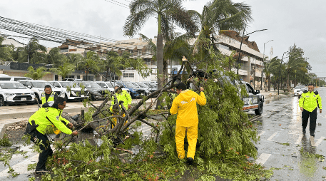 Policías y miembros de Protección Civil levantan árboles caídos tras el paso del huracán 