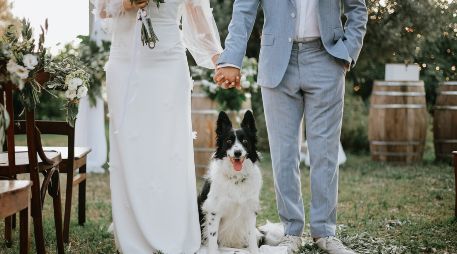 Considera darle a tu mascota un rol en la boda, como portador de anillos, mascota de honor o simplemente un invitado con un atuendo especial. ISTOCK GETTY IMAGES