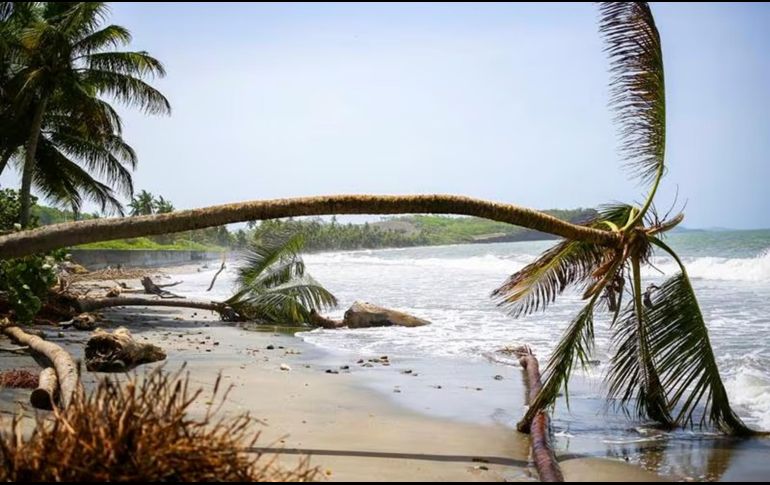 Los sectores de la agricultura y la pesca fueron los más afectados por el huracán. AP / H. FORTEAU