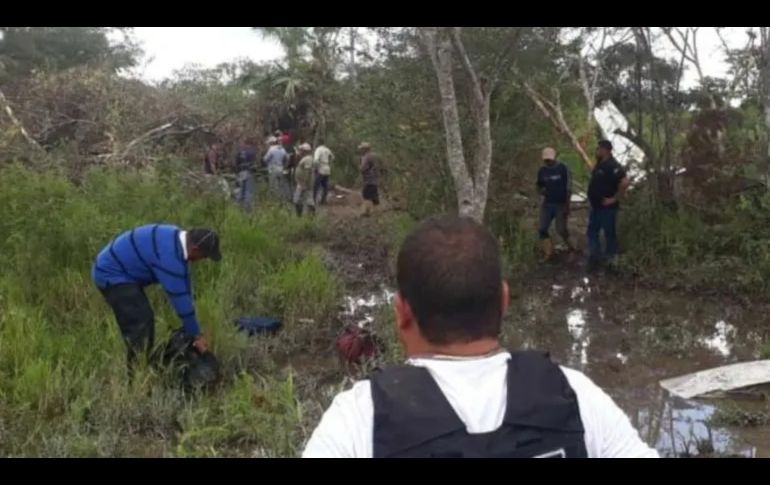 los cuerpos de seguridad ciudadana localizaron esta 