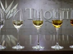 La producción y comercialización de Tequila generan alrededor de 100 mil empleos