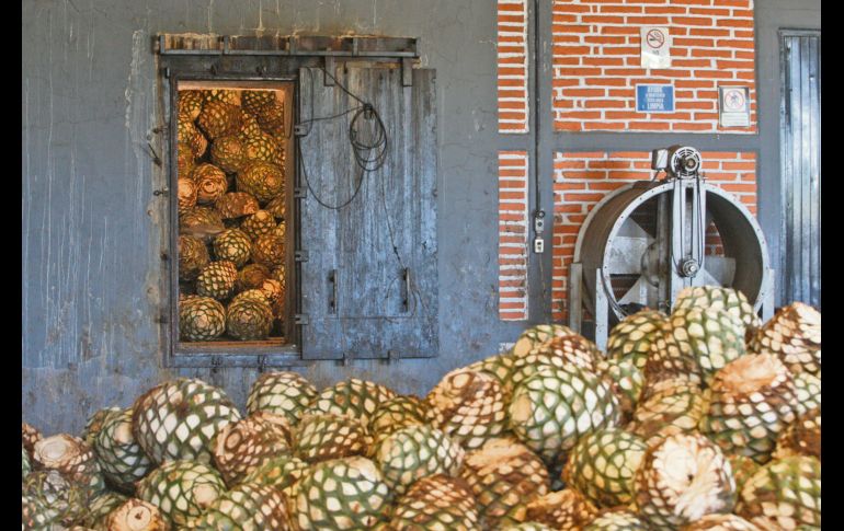 En 1949 se publicó la primera Norma Oficial del Tequila; posteriormente, en 1974, fue declarado al Tequila como la primera Denominación de Origen de México.