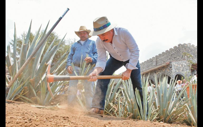 En 1978 la Denominación de Origen del Tequila se registró ante la Organización Mundial de la Propiedad Intelectual y fue en el año de 1994 que se adoptó el modelo de evaluación de la  conformidad con el nacimiento del Consejo Regulador del Tequila