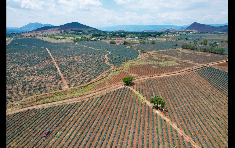 En el 2022 se le otorgó el reconocimiento como la segunda mejor Ruta Gastronómica y en el 2023 obtuvo el reconocimiento como mejor ruta para conocer y vivir.