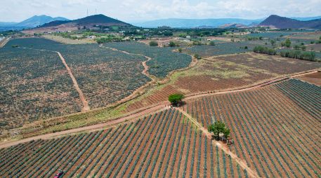 En el 2022 se le otorgó el reconocimiento como la segunda mejor Ruta Gastronómica y en el 2023 obtuvo el reconocimiento como mejor ruta para conocer y vivir.