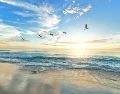 La lista fue creada por el portal The World’s 50 Best Beaches, que este año reunió a más de mil creadores de contenido, influencers y expertos en viajes. UNSPLASH / F. MCKENNA