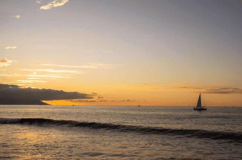  PUERTO VALLARTA. Pexels / Soly Moses