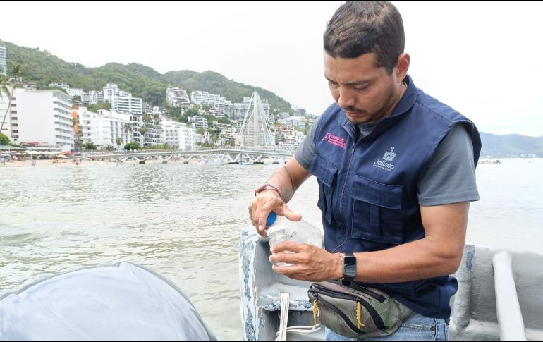 Entre los factores de riesgo que afectan la calidad del agua del mar son drenajes pluviales, descargas de aguas residuales, asentamientos irregulares que no tienen infraestructura de saneamiento y alcantarillado. CORTESÍA/ COPRISJAL.