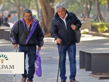 Es necesario acudir a un módulo para renovar el plástico. INFORMADOR / ARCHIVO