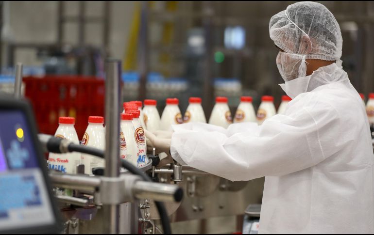 Se sugiere, en la medida de lo posible, consumir lácteos enteros para evitar la pérdida de nutrientes que contiene la grasa de estos productos. AFP / ARCHIVO