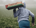 Durante 2023 se comercializaron 462 mil 491 toneladas de berries hacia Estados Unidos, países de Medio Oriente, Sudeste Asiático y la Unión Europea. ESPECIAL/Foto de Tim Mossholder en Unsplash