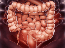 El síndrome del intestino irritable incluye el dolor repetido en el abdomen y cambios en la evacuación de las heces, como diarrea, estreñimiento o ambos. PIXABAY/ ramoninciarte
