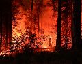 En Canadá, se trabaja para controlar el incendio que la semana pasada arrasó gran parte de la localidad de Jasper. EFE / J. MABANGLO