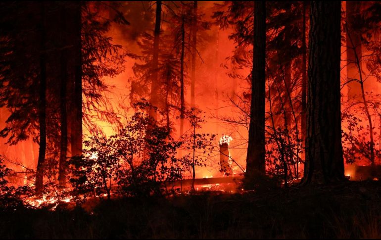 En Canadá, se trabaja para controlar el incendio que la semana pasada arrasó gran parte de la localidad de Jasper. EFE / J. MABANGLO