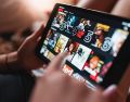 Netflix sigue agregando contenidos a su gran catalogo. Pixabay.