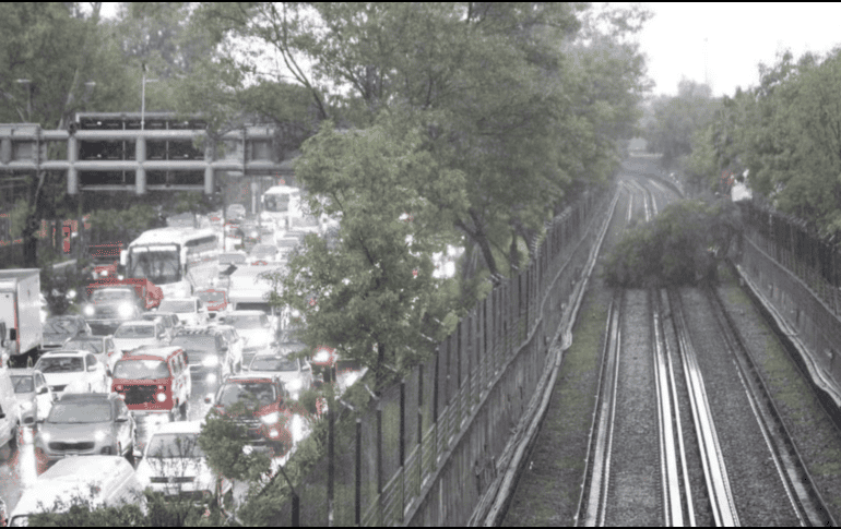 Cayó un árbol en las vías del STC metro, en la Línea 5. SUN / F. Rodríguez 