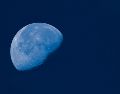 También conocida como “Luna de Esturión” se presenta cada año en el mes de agosto. UNSPLASH/ Nick Fewings