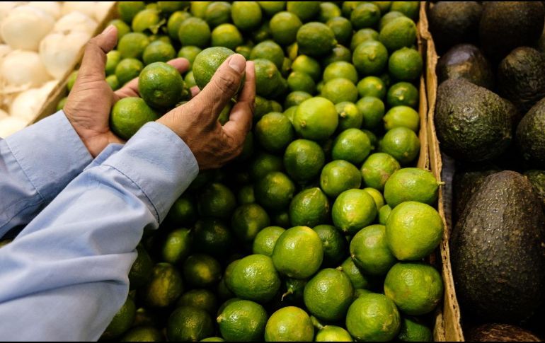 En Jalisco se produce la mayor cantidad de limón persa que se vende más económico que el limón con semilla. EL INFORMADOR/ J. Urrutia.