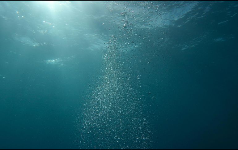 Sweetman afirma que el oxígeno oscuro podría sustentar la vida en el fondo del océano. Pexels / Berend de Kort