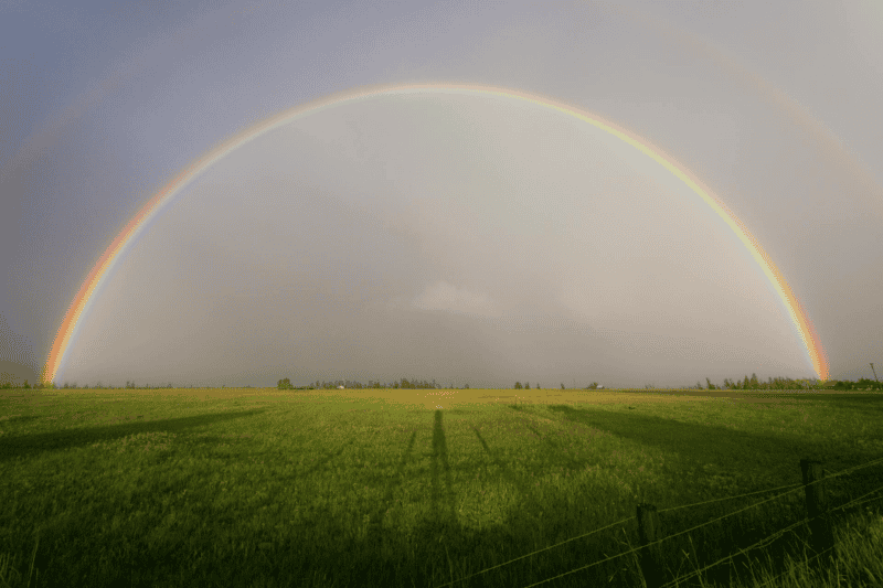  La luz solar se descompone en siete colores fundamentales cuando pasa a través de las gotas de agua en la atmósfera. ESPECIAL / Pexels  @Binyamin Mellish