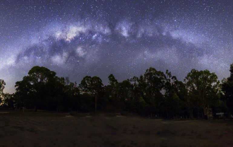 Los más afectados por contaminación lumínica son los animales de hábitos nocturnos, los cuales necesitan la oscuridad para realizar sus funciones básicas. ESPECIAL / Foto de Michael en Unsplash