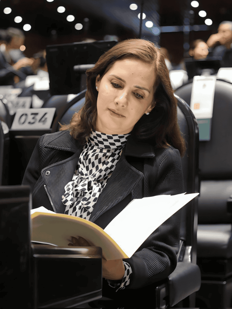 La iniciativa de la diputada del PRD, Macarena Chávez, fue turnada a la Comisión de Trabajo y Previsión Social, de la Cámara de Diputados. X -TWITTER-/ macarenachavezm 