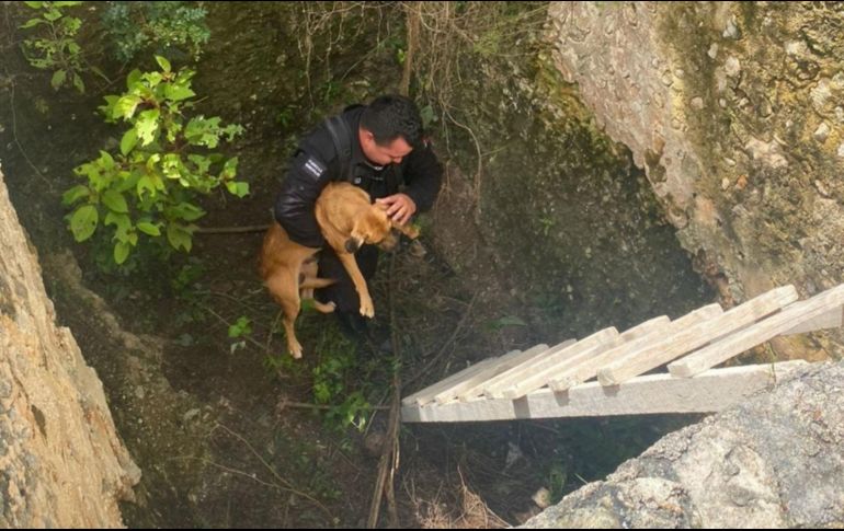 Al escuchar sus ladridos en un terreno baldío, descubrió que 