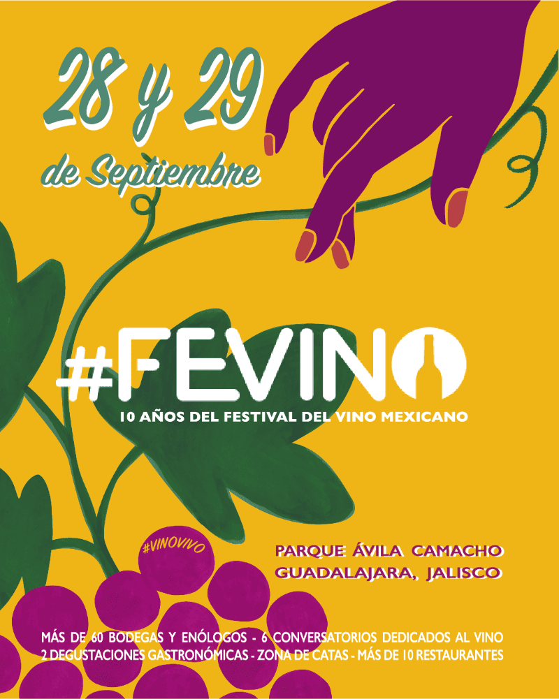 ESPECIAL / #FEVINO 