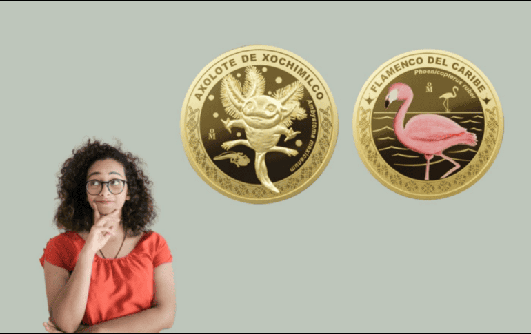 El diseño de algunas monedas fue hecho por alumnos de primaria a través de un concurso lanzado por el gobierno. ESPECIAL /INSTAGRAM/ casamonedamx y Pexels