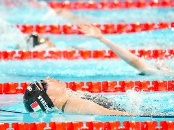 Para Haidee, la competencia aún no termina, pues estará compitiendo en las pruebas de 50 m dorso S2 y 100 m estilo libre S3 en los próximos días. ESPECIAL / Comité Paralímpico Mexicano