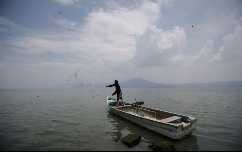 Chapala es el lago más grande de México, y frecuentemente se ve amenazado. EL INFORMADOR/ ARCHIVO