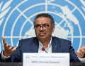 Tedros también subrayó que, esta semana, la OMS acogió un encuentro virtual de expertos, para analizar el brote de mpox. EFE / ARCHIVO